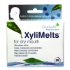 XyliMelts for Dry Mouth, Mint-Free, 80-Count Boxes