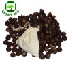 Greenwill Soap Berries / Soap Nuts -- 2.5 Pounds (about 600 Berries) -- Complimentary Cotton Wash Bag -- Certified Organic -- De-seeded, Clean, Whole shell, Free of Chemical Fertilizer or Pesticides -- Sorted and Packed in US