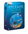 Oceans Alive: Kingdom of the Coral Reef (5-pk)(Tin)