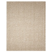 Jute Rug - 9' x 12' - Zatar Ribbed Loop Pile Natural Wool and Jute Area Rug in Ivory / Beige - AMB0308-0912