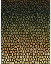 Shaw Living Centre Street Collection 5 by 8 Chameleon Area Rug, Multi