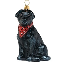 Mouth blown and hand painted by some of the finest artists in Poland, this Labrador Retriever ornament is a favorite for hanging on the tree. This collection has been taken to a whole new level in detail, uniqueness and artistic direction.