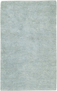 Spa Blue Surya Aros 3'6x5'6 Shag Rectangle Area Rug from RugPal.com