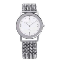 Skagen Women's 39LSSS1 Steel Stainless Steel Stretch Mesh Watch