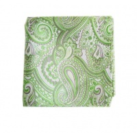 100% Silk Woven Apple Check Me Out Paisley Pocket Square