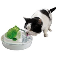 Cats Rule Frog Watering Hole Water Fountain, White and Green