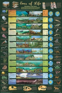 (24x36) Eras of Life Geology Educational Science Chart Poster