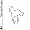 White Pony