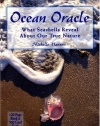 Ocean Oracle: What Seashells Reveal About Our True Nature