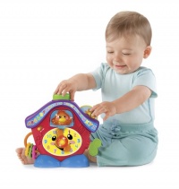 Fisher-Price Laugh & Learn Peek-a-Boo Cuckoo