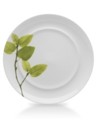 Forever spring. Bright new leaves plucked just for your table drape these dinner plates in a fresh, modern design. From Mikasa dinnerware, the dishes are durable and stylish in white porcelain with a uniquely sloped rim and raised interior.