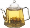 GROSCHE VIENNA Stove top water Kettle and Infuser glass Teapot 1250ml 42 fl. oz