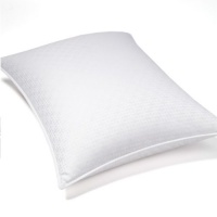 Hudson Park Ultra Clean Soft Down King Pillow