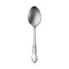 Oneida Dover Serving Spoon