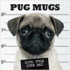 Pug Mugs: Good Pugs Gone Bad