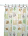 Famous Home Fashions Seaside Shower Curtain, Sage