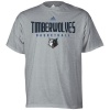 NBA adidas Minnesota Timberwolves Ash Absolute T-shirt