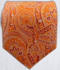 100% Silk Woven Pumpkin 21st Century Paisley Tie