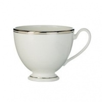 Waterford Kilbarry Platinum Teacup and Saucer