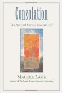 Consolation: The Spiritual Journey Beyond Grief