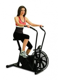 Marcy Classic Upright Fan Bike