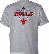 adidas Chicago Bulls Ash True Court T-shirt