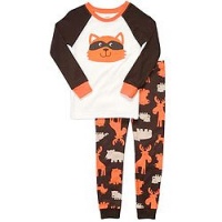 Carter's Baby Boys 18 Months Fox Cotton Set (24 Months)