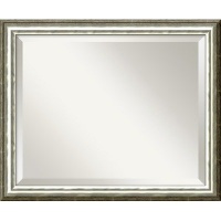 Soho Medium Mirror in Light Silver