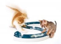 Hagen Catit Design Senses Play Circuit, Original