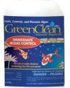 GreenClean Granular Algaecide 2 pounds