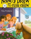 Pony Problems (Nancy Drew and the Clue Crew #3)