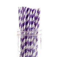 Dress My Cupcake Purple Striped Paper Straws, 25-Pack