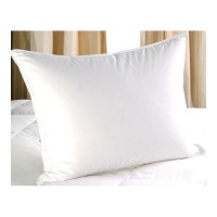 Set of Two 500 Thread Count 750 Fill Power Egyptian Cotton Queen/standard Size White Goose Down Pillows- Set of 2 Pillows