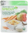 Sprout Organic Baby Food Curried Red Lentils and Glazed Carrots with Jasmine Rice, 5.5-Ounce (Pack of 12)