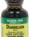 Nature's Answer Dandelion Root, 1-Ounce