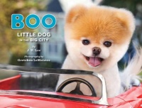 Boo: Little Dog in the Big City