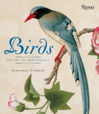 Birds: Mini Edition: The Art of Ornithology