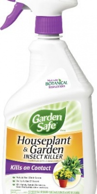 Garden Safe 10422X Houseplant and Garden Insect Killer, 24-Ounce Spray