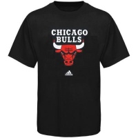 Chicago Bulls adidas Black Primary Logo T-Shirt