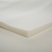 Carpenter Memory Foam Twin XL Mattress Topper