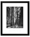 Premier nature photographer Ansel Adams captures the awe-inspiring majesty of California's Redwood forest. A single column of light pierces the dense forest and illuminates its floor in clean, classic black and white.