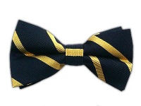 100% Silk Woven Navy Striped Self-Tie Bow Tie