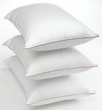 Charter Club Vail Elite European Goose Down Firm Pillow, Standard/Queen