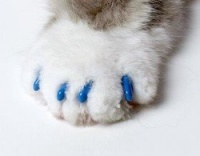 Soft Claws for Cats - CLS (Cleat Lock System), Size Small, Color Blue