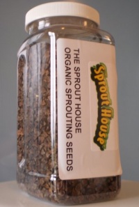 The Sprout House HOT and Spicy 1 Pound Organic Sprouting Seeds Yellow Mustard and Red Radish