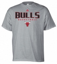 Chicago Bulls Absolute T-Shirt