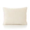 My First Toddler Memory Foam Pillow with Matching Pillow Case, Cream