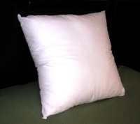 15x15 Throw Pillow Form Insert PC