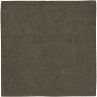 Surya Terra AROS-10 8 by 8 Rug, Beige