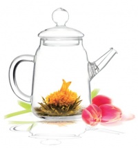 Tea Beyond GTP2001-S Heat Resistant Glass Teapot Solo, 12-Ounce